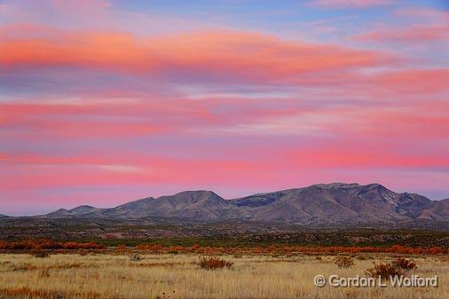 Bosque At Dawn_73401.jpg - Photographed in the Bosque del Apache National Wildlife Refuge near San Antonio, New Mexico USA. 